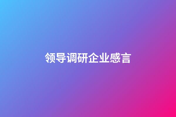 领导调研企业感言