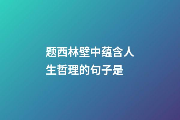 题西林壁中蕴含人生哲理的句子是