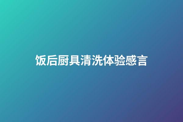 饭后厨具清洗体验感言