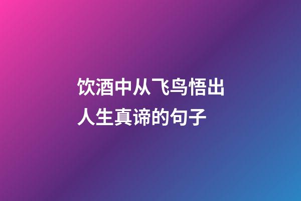 饮酒中从飞鸟悟出人生真谛的句子