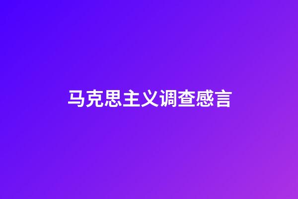 马克思主义调查感言