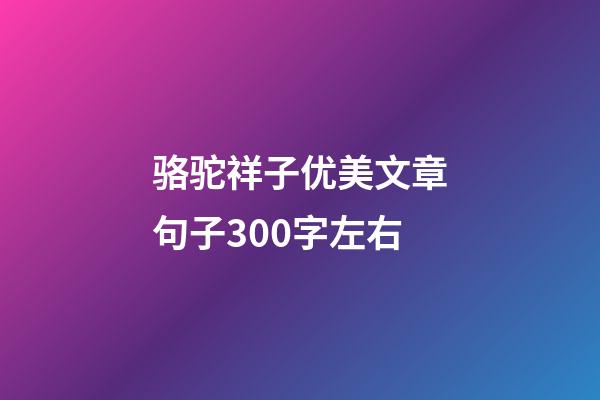 骆驼祥子优美文章句子300字左右