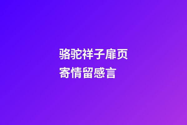 骆驼祥子扉页寄情留感言