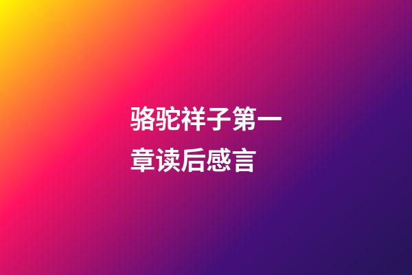 骆驼祥子第一章读后感言