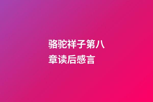 骆驼祥子第八章读后感言