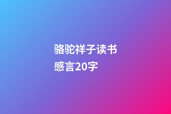 骆驼祥子读书感言20字