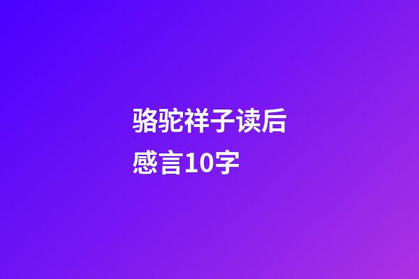 骆驼祥子读后感言10字