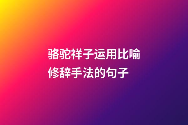 骆驼祥子运用比喻修辞手法的句子