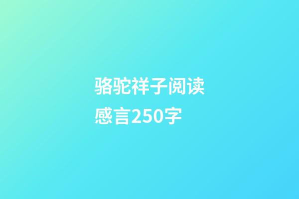 骆驼祥子阅读感言250字