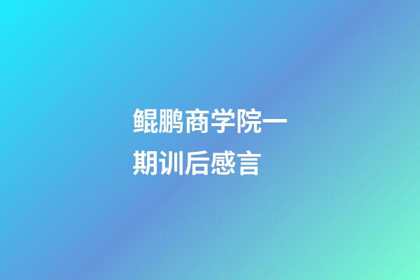 鲲鹏商学院一期训后感言