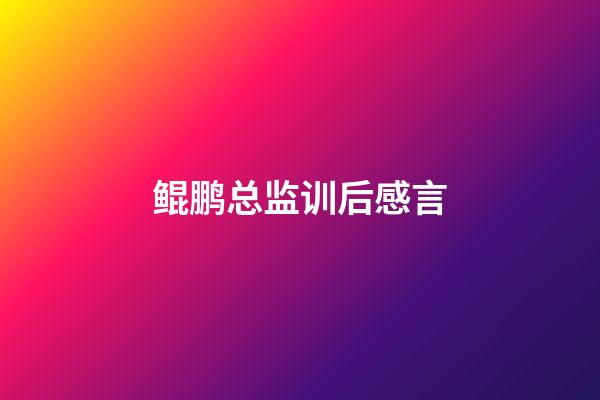 鲲鹏总监训后感言