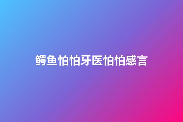 鳄鱼怕怕牙医怕怕感言