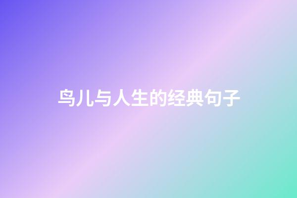 鸟儿与人生的经典句子