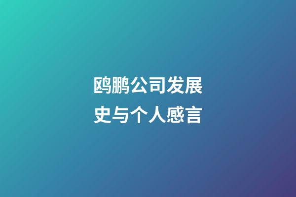 鸥鹏公司发展史与个人感言