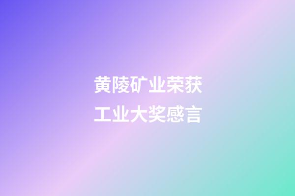 黄陵矿业荣获工业大奖感言