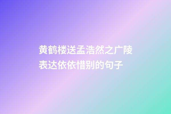 黄鹤楼送孟浩然之广陵表达依依惜别的句子