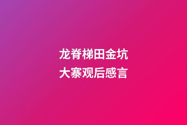 龙脊梯田金坑大寨观后感言