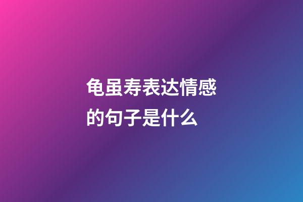 龟虽寿表达情感的句子是什么